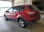 2015 Ford Escape Se Красный vin: 1FMCU0G76FUA65579