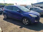 2016 Ford Escape Se Blue vin: 1FMCU0G76GUC86794