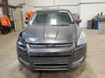 2016 Ford Escape Se Gray vin: 1FMCU0G78GUC47351