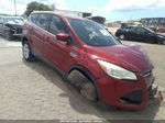 2016 Ford Escape Se Красный vin: 1FMCU0G79GUA26602