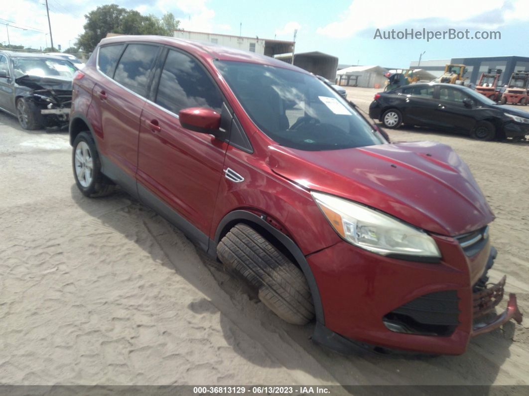 2016 Ford Escape Se Красный vin: 1FMCU0G79GUA26602