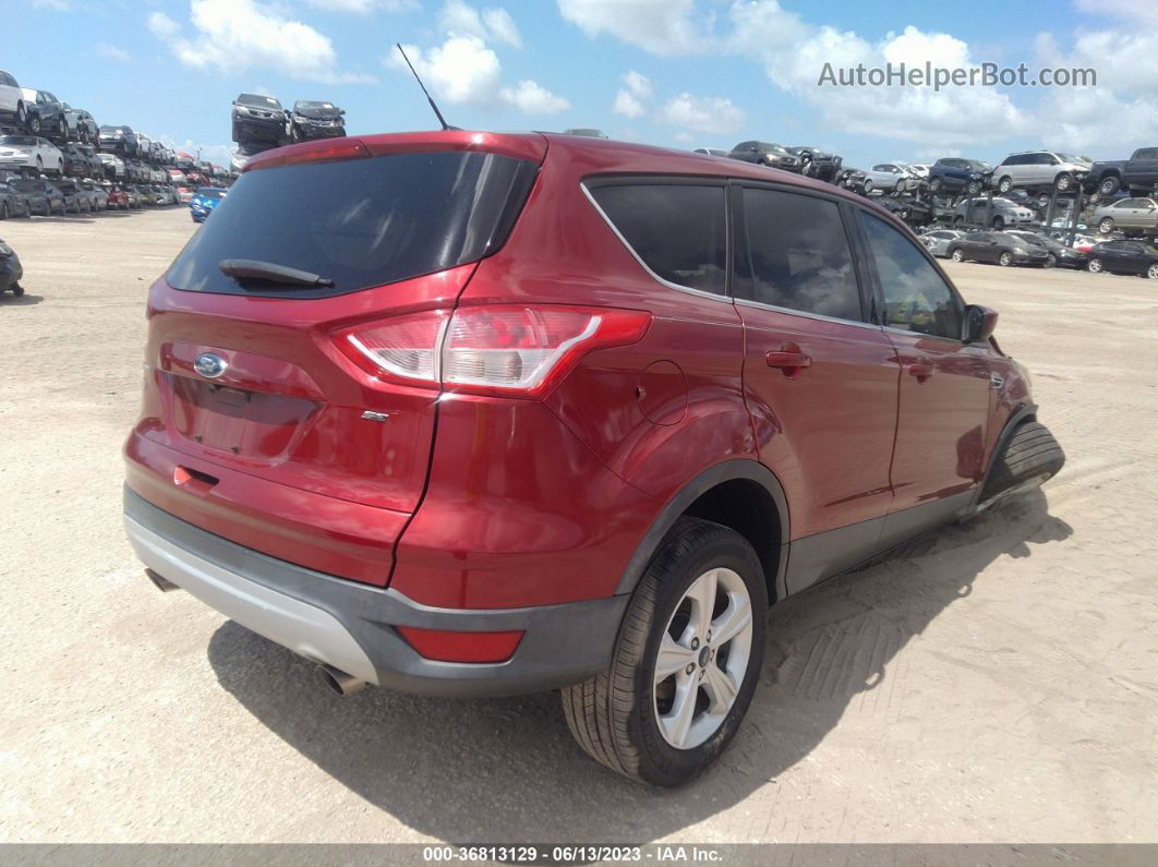 2016 Ford Escape Se Красный vin: 1FMCU0G79GUA26602