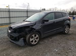 2016 Ford Escape Se Black vin: 1FMCU0G79GUA80868