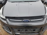 2016 Ford Escape Se Gray vin: 1FMCU0G79GUC91973