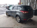 2016 Ford Escape Se Gray vin: 1FMCU0G7XGUB03199