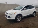 2013 Ford Escape Se White vin: 1FMCU0G90DUD11475