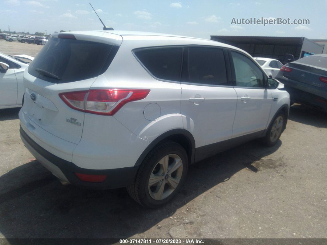 2015 Ford Escape Se White vin: 1FMCU0G90FUC90386