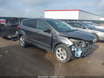 2016 Ford Escape Se Gray vin: 1FMCU0G90GUA00102