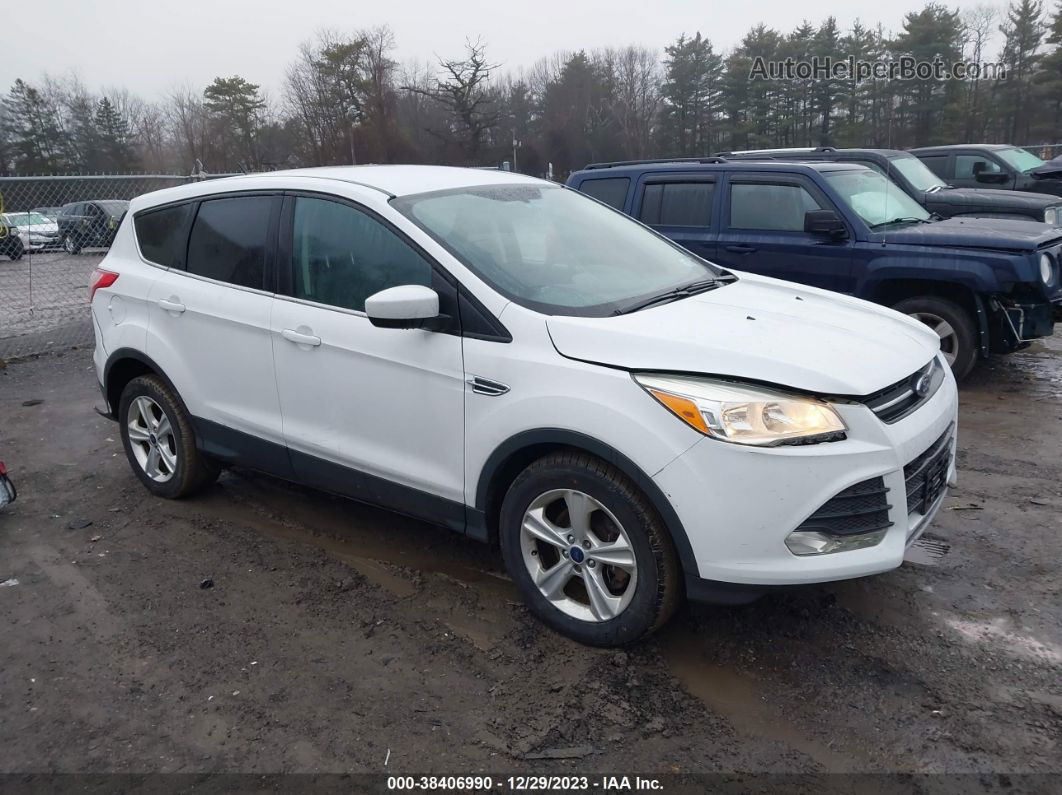 2014 Ford Escape Se White vin: 1FMCU0G91EUD38511