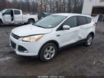 2014 Ford Escape Se White vin: 1FMCU0G91EUD38511