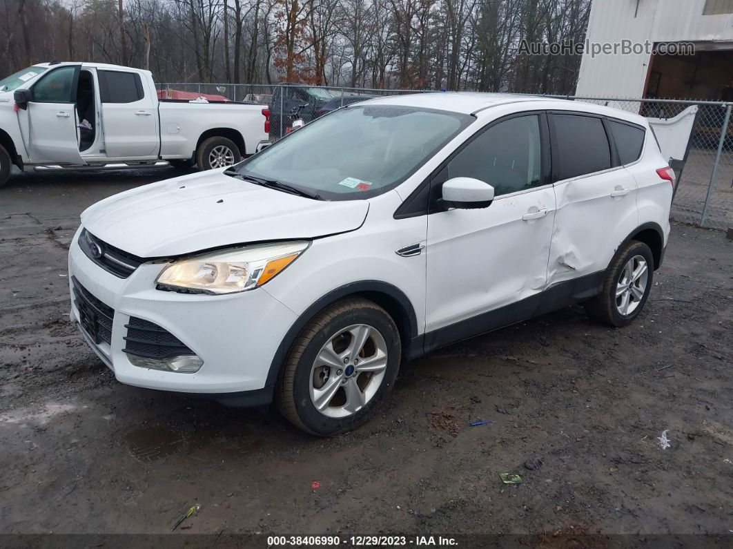 2014 Ford Escape Se White vin: 1FMCU0G91EUD38511