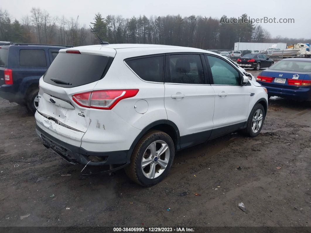 2014 Ford Escape Se White vin: 1FMCU0G91EUD38511