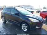 2013 Ford Escape Se Burgundy vin: 1FMCU0G92DUD51783