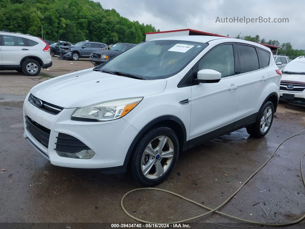 2014 Ford Escape Se White vin: 1FMCU0G93EUB40576