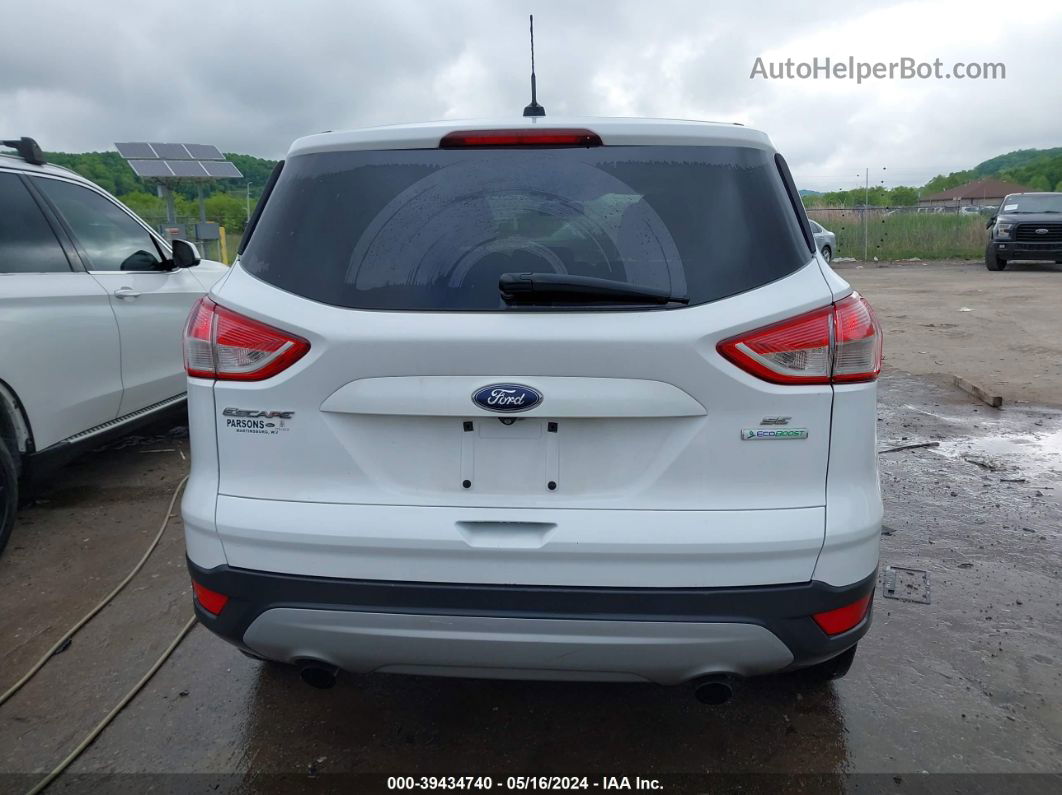 2014 Ford Escape Se White vin: 1FMCU0G93EUB40576