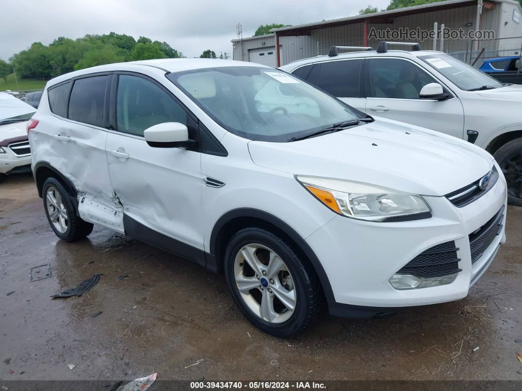 2014 Ford Escape Se White vin: 1FMCU0G93EUB40576