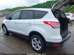 2014 Ford Escape Se White vin: 1FMCU0G93EUB40576