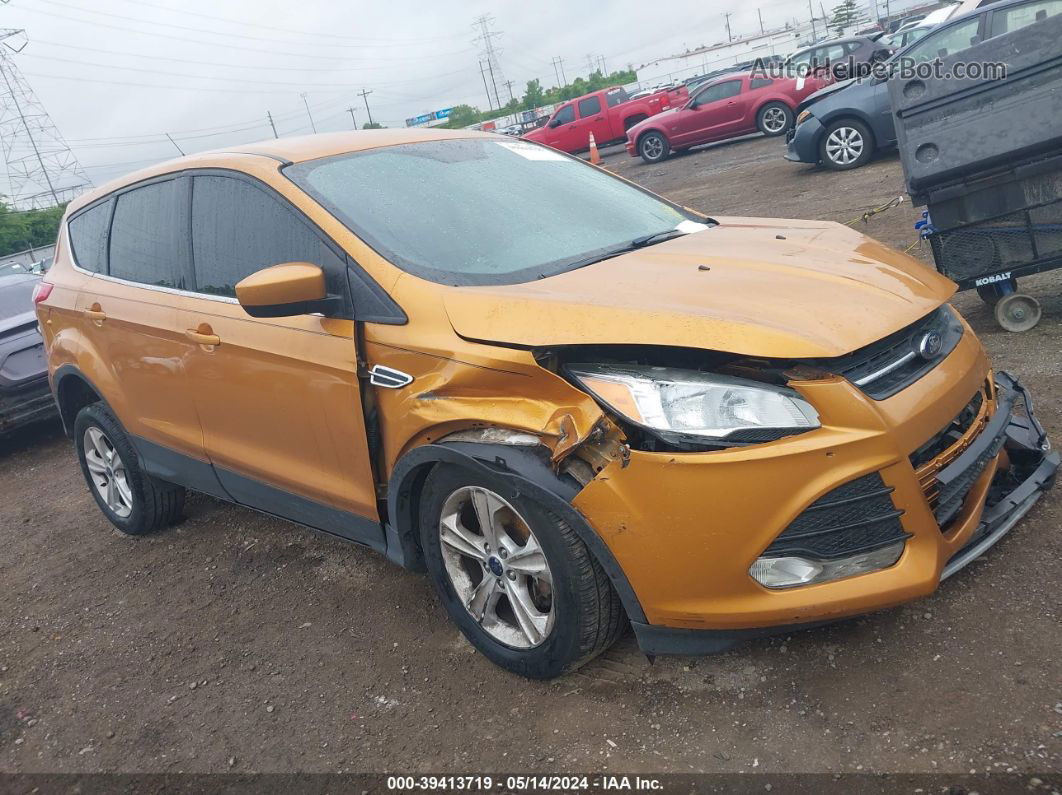 2016 Ford Escape Se Orange vin: 1FMCU0G93GUC84163