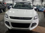 2014 Ford Escape Se Белый vin: 1FMCU0G94EUB80603