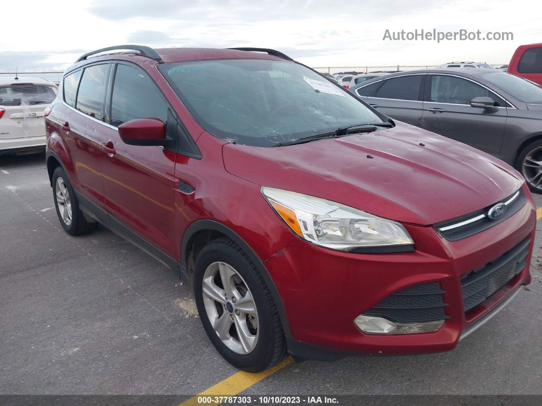 2016 Ford Escape Se Красный vin: 1FMCU0G94GUB71161