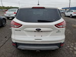 2015 Ford Escape Se Белый vin: 1FMCU0G95FUA40044