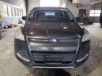 2015 Ford Escape Se Gray vin: 1FMCU0G95FUB32870