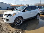 2016 Ford Escape Se White vin: 1FMCU0G95GUA09930