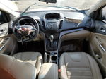 2016 Ford Escape Se Белый vin: 1FMCU0G95GUA09930