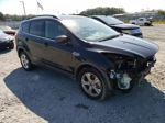 2016 Ford Escape Se Black vin: 1FMCU0G95GUC73178