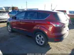 2014 Ford Escape Se Red vin: 1FMCU0G96EUA46854