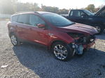 2014 Ford Escape Se Красный vin: 1FMCU0G96EUE33498