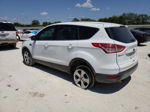 2015 Ford Escape Se White vin: 1FMCU0G96FUA10891