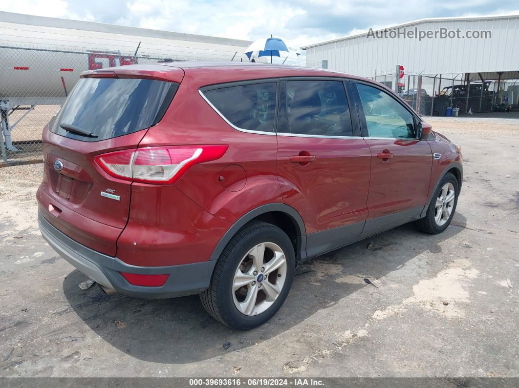 2014 Ford Escape Se Orange vin: 1FMCU0G97EUA06685