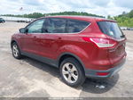 2014 Ford Escape Se Orange vin: 1FMCU0G97EUA06685