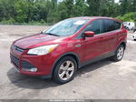 2014 Ford Escape Se Orange vin: 1FMCU0G97EUA06685