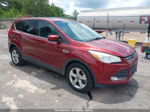 2014 Ford Escape Se Orange vin: 1FMCU0G97EUA06685