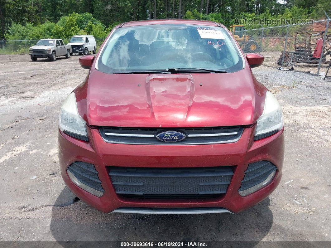 2014 Ford Escape Se Orange vin: 1FMCU0G97EUA06685