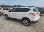 2014 Ford Escape Se White vin: 1FMCU0G97EUB84662