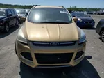 2014 Ford Escape Se Gold vin: 1FMCU0G97EUC16915