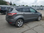 2014 Ford Escape Se Gray vin: 1FMCU0G97EUC66052