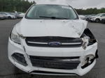 2014 Ford Escape Se Белый vin: 1FMCU0G97EUD73067