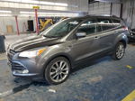 2014 Ford Escape Se Gray vin: 1FMCU0G97EUD82433