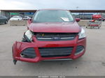 2014 Ford Escape Se Красный vin: 1FMCU0G98EUA51750