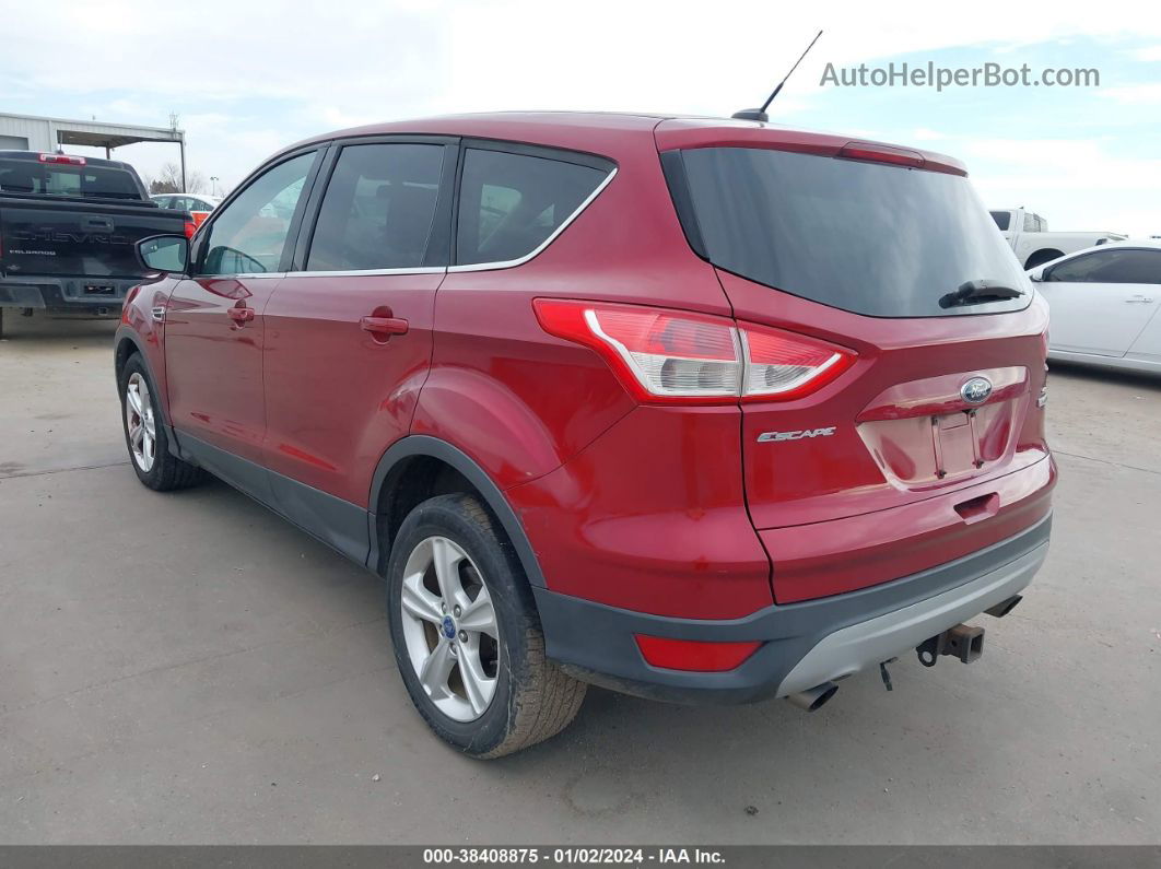 2014 Ford Escape Se Красный vin: 1FMCU0G98EUA51750