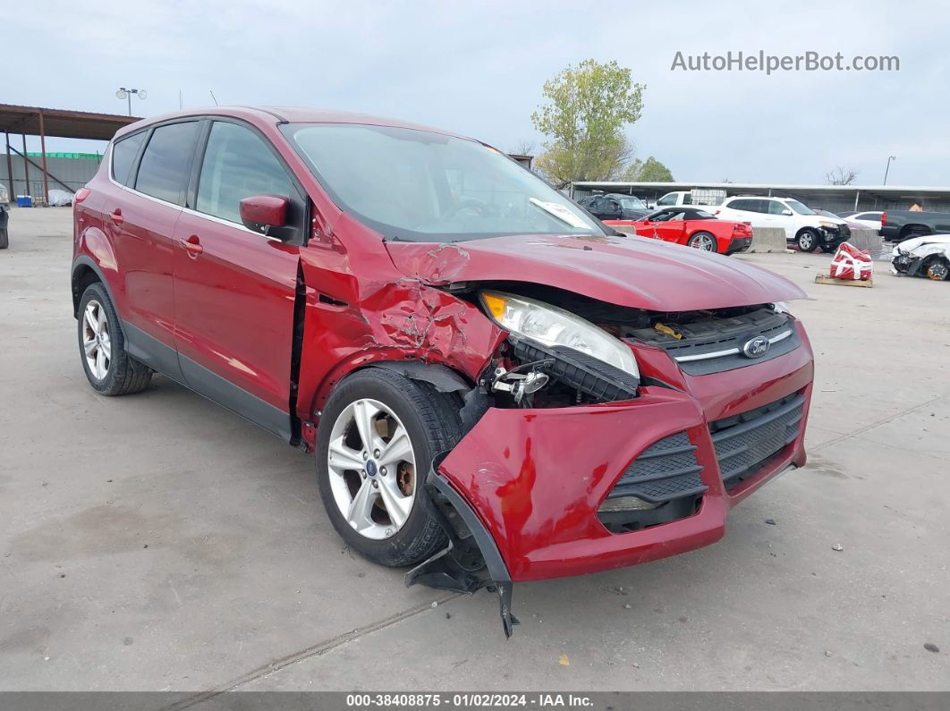 2014 Ford Escape Se Красный vin: 1FMCU0G98EUA51750