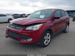 2014 Ford Escape Se Красный vin: 1FMCU0G98EUA51750