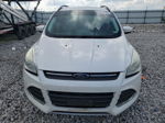 2014 Ford Escape Se White vin: 1FMCU0G99EUA70176