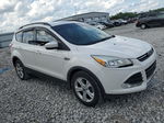 2014 Ford Escape Se White vin: 1FMCU0G99EUA70176