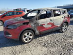 2014 Ford Escape Se Burn vin: 1FMCU0G99EUD82207