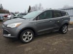 2014 Ford Escape Se Серый vin: 1FMCU0G99EUD96124